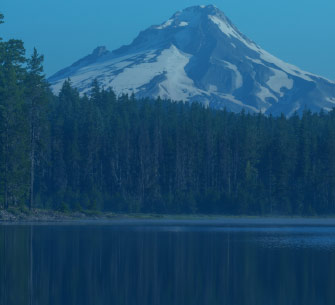 From Bigfoot Catcher to Director of Strategic Accounts: My B2B Marketing Journey